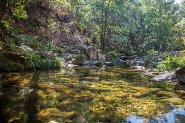 Thermal area of Carves River, Prexigueiro, Ribadavia, Orense, Spain. Green exuberant environment