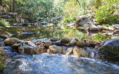 Thermal area of Carves River, Prexigueiro, Ribadavia, Orense, Spain. Green exuberant environment