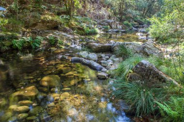 Thermal area of Carves River, Prexigueiro, Ribadavia, Orense, Spain. Green exuberant environment