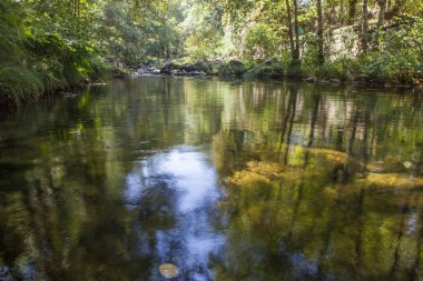 Thermal area of Carves River, Prexigueiro, Ribadavia, Orense, Spain. Green exuberant environment