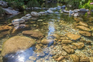 Thermal area of Carves River, Prexigueiro, Ribadavia, Orense, Spain. Green exuberant environment