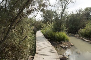 Orman arasındaki ahşap köprü ve derede akan su