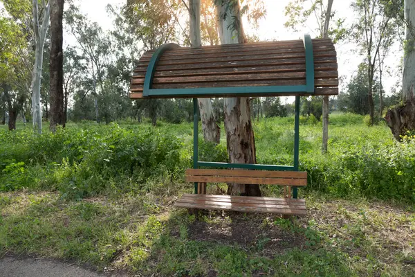 Bench with a canopy near a walking path in the forest