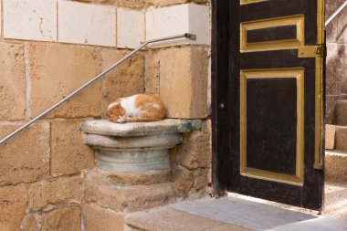 Kızıl bir kedi köşedeki korunmuş mermer bir antika sütunda açık bir kapının yanında uyur ve...