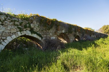 Acre şehrinde çim ve çalılarla kaplanmış antik bir su kemeri.