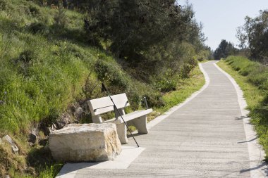 Ormanın ortasında dinlenmek için bir bankla yürüyüş yolu.