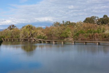 Ağaçların arka planında bir gölet boyunca yürüyen ahşap köprü ve bulutlu mavi bir gökyüzü.