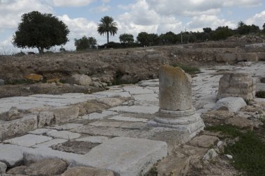 Zippori Ulusal Parkı 'ndaki kazılarda Roma İmparatorluğu' ndan nesneler ortaya çıktı.
