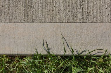 Düz ve tırtıklı yüzeyi ve altında yeşil otları olan beton bir duvar.