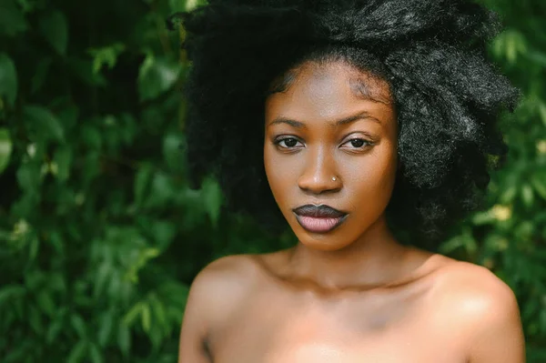 Primer Plano Retrato Cabeza Hermosa Joven Afroamericana Mujer Negra Perfecta — Foto de Stock