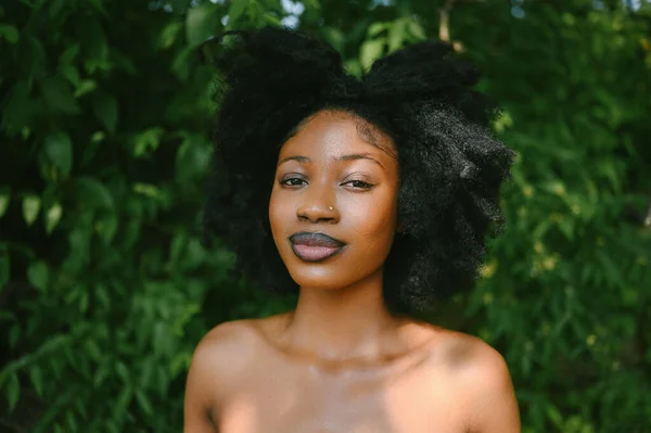 Primer Plano Retrato Cabeza Hermosa Joven Afroamericana Mujer Negra Perfecta —  Fotos de Stock