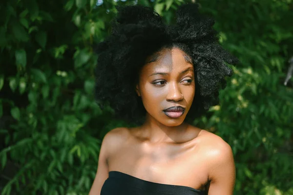 Primer Plano Retrato Cabeza Hermosa Joven Afroamericana Mujer Negra Perfecta —  Fotos de Stock