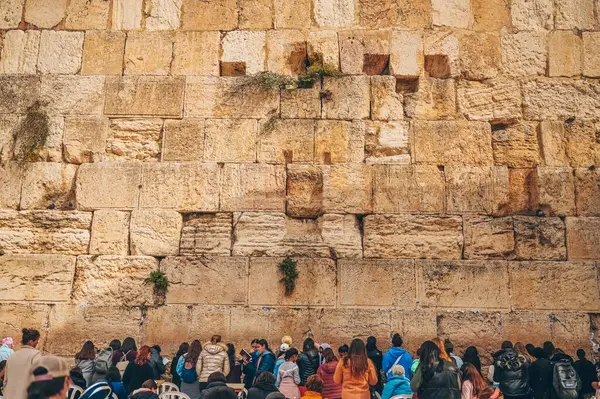 27 Kasım 2022, Kudüs, İsrail. Yahudi ve turist kalabalığı, Yahudiliğin kutsal yeri olan Eski Batı Ağlama Duvarı 'nda Shacharit gündoğumu namazı için toplandı. Tapınak Dağı ve Zeytin Dağı. 