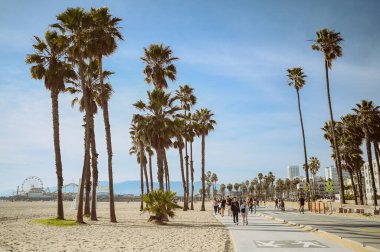 10 Mart 2024, Los Angeles, ABD. Venedik plajı güneşli bir günde. Yaya geçidi boyunca yürüyen turist kalabalığı var. Bisikletçiler bisiklet yolunda gezerler. Güzel okyanus manzarası