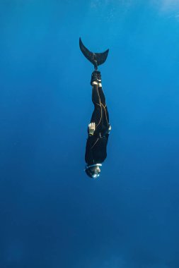 Dalgıç tropikal bir okyanusta sualtı macerası sırasında derin mavi suları keşfeder.