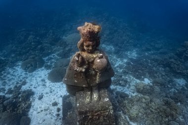 Mercan resifinin yakınındaki su altı heykeli parlak mavi sularda okyanus yüzeyinin altında güzellik ve sükuneti ortaya çıkarıyor.