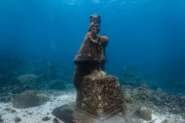 Su altında bulunan antik heykel kıyı bölgesinde deniz yaşamı ve mercan büyümesi gösteriyor.