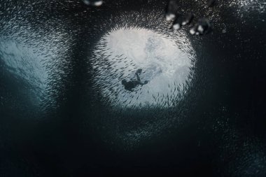 Genç bir kadın sardalya sürüsünün yakınına dalıyor. 