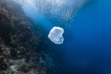 Tek kullanımlık plastik ve sığ bir resifte balık sürüsü. Plastik, okyanustaki kirliliğin en büyük etkenlerinden biridir.. 
