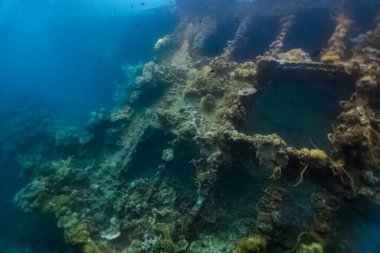 Eski geminin tabanının sualtı fotoğrafı.