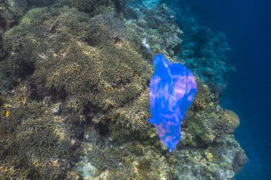 Single-use plastic hanging underwater above sea corals clipart