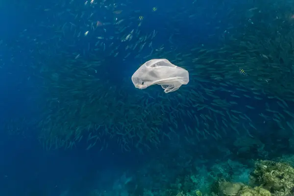 Tek kullanımlık plastik ve sığ bir resifte balık sürüsü. Plastik, okyanustaki kirliliğin en büyük etkenlerinden biridir.. 