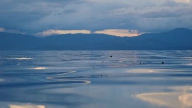 Yeşil deniz kaplumbağası (chelonia mydas) yüzeye çıkar ve su altında nefes alır..