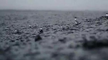 Sonsuz okyanusa yağmur damlaları düşer, yakın mesafeden. Kısa bir süre sonra deniz yüzeyine çarpar, ağır çekimde..