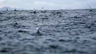 Sonsuz okyanusa yağmur damlaları düşer, yakın mesafeden. Kısa bir süre sonra deniz yüzeyine çarpar, ağır çekimde..