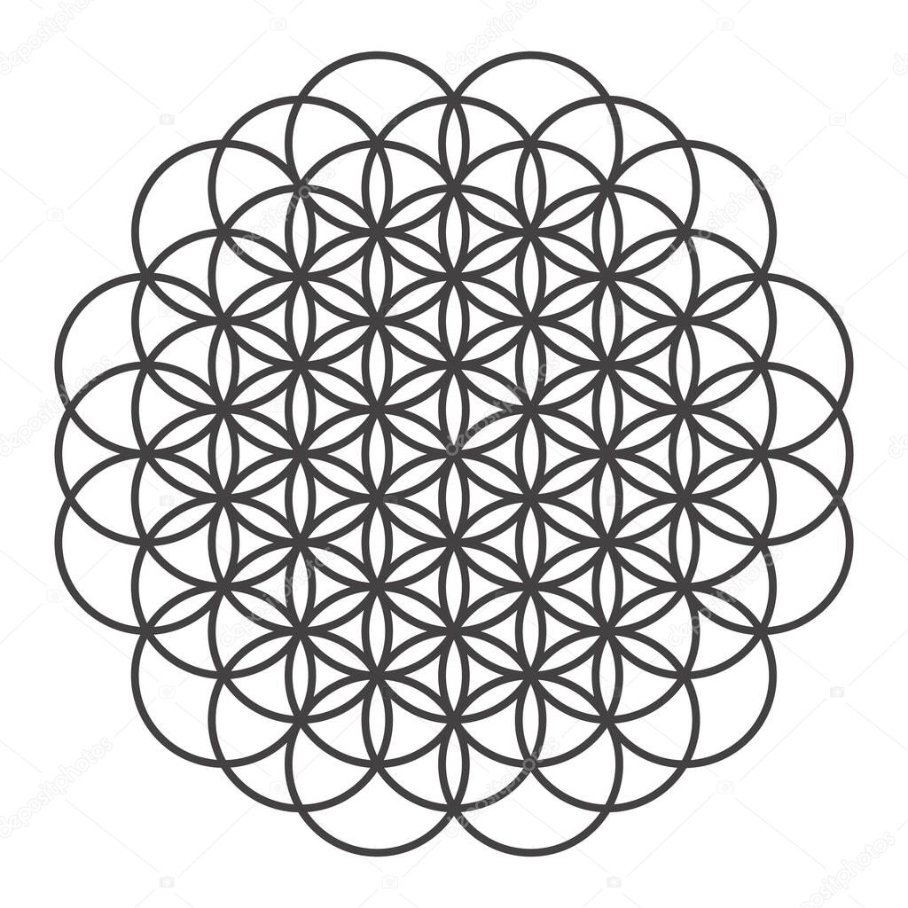 The Flower of Life is one of the basic sacred geometry shapes. Seven overlapping circles that build outward, forming a flower-like pattern. Perfect for laser cutting, engraving, printing