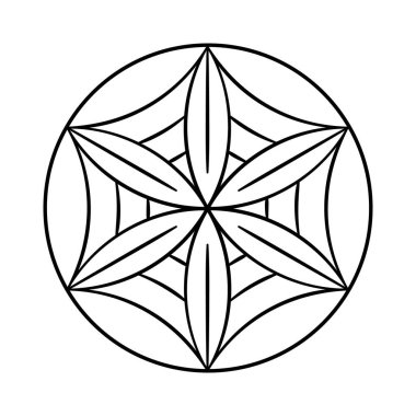 Afrodit 'in çiçeği. Kadınlık sembolü sakral geometri. Afrodit Gülü.