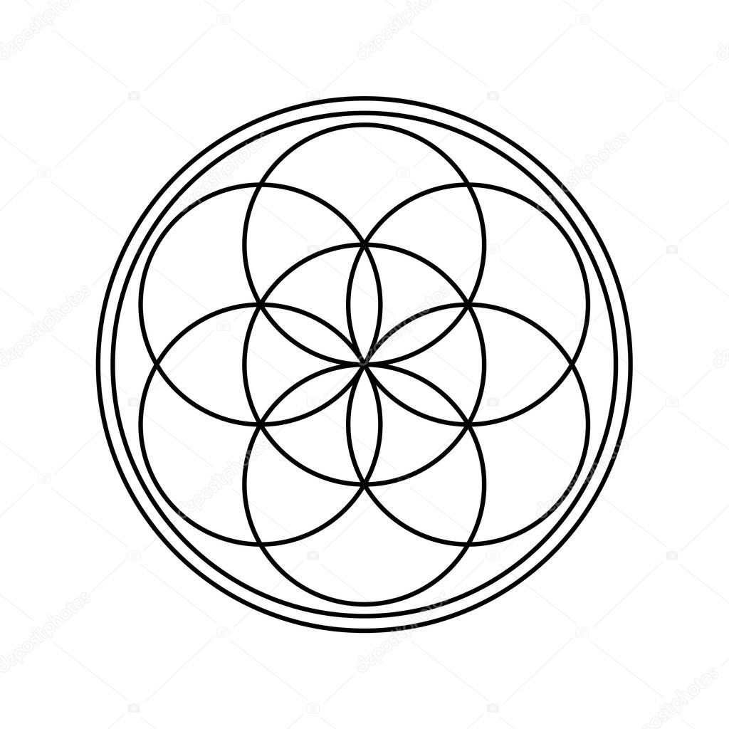 Feminity symbol sacral geometry. The Flower of Life Symbol. One of the basic sacred geometry shapes.