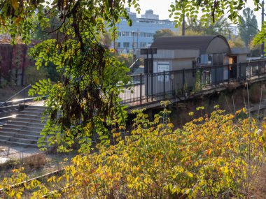 Blurry suburban city train station with concrete platform and metal shed and a branch of acacia tree in the foreground. Autumn colorful morning.