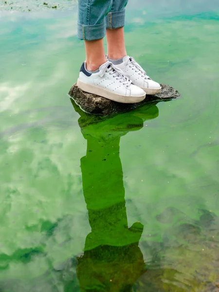 Person stands on a stone in water with blue and green algae bloom. Water pollution and ecology problems concept.