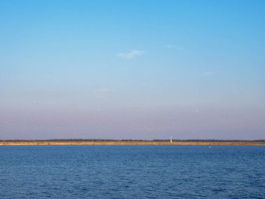 Büyük bir kuş sürüsü Kyiv deniz salyası üzerinde uçuyor, sakin mavi su yatı ve yüzen teknesi, mavi ve pembe gökyüzü, ufukta dar bir banka şeridi.