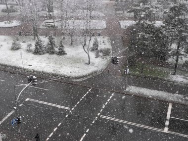 Kırmızı trafik ışığı ve şehir parkında yalnız bir insanın yürüdüğü yaya geçidine düşen yoğun pofuduk karın penceresinden bakın. Karlı kış günü.