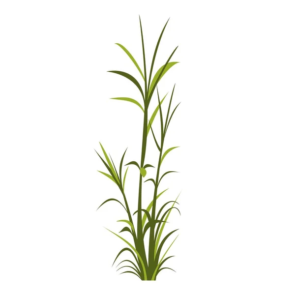 Grass Plant Bush Vegetation Vector Image — Stock Vector