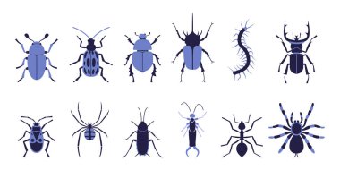 Bir sürü sürünen böcek. Böcekler, örümcekler, karıncalar.