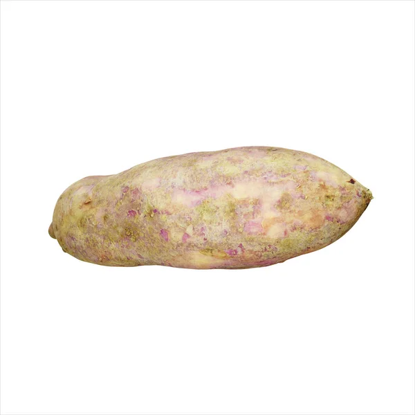 Render Realistische Verse Zoete Aardappel Geïsoleerd Witte Achtergrond Voedselelement — Stockfoto