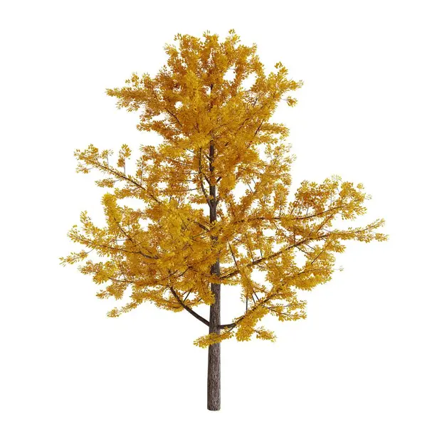 Árvore Com Folhas Amarelas Isolado Fundo Branco Renderização Realista — Fotografia de Stock
