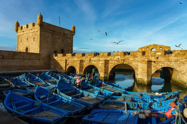 Maroko Essaouira Typowe Niebieskie Łodzie Zacumowane Porcie — Zdjęcie stockowe
