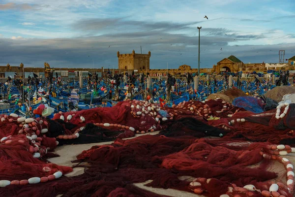 Fas 'ta. Essaouira. Limana demirlemiş tipik mavi balıkçı tekneleri.