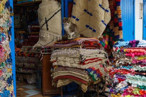 stock image Morocco. Essaouira. Three women dressed in djellaba walk down a street in the medina