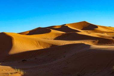 Kuzey Afrika. Fas 'ta. Merzouga 'da. Sahra Çölü 'nün kum tepeleri mavi gökyüzünün altında