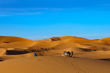 Kuzey Afrika. Fas 'ta. Merzouga 'da. Müslüman bir vadi, Sahra çölünün kumullarında mavi bir gökyüzünün altında dua ediyor.