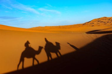 Kuzey Afrika. Fas 'ta. Merzouga 'da. Turistler Merzouga 'nın kum tepelerinde deve sürüşüne çıkar.
