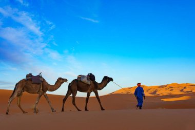 Kuzey Afrika. Fas 'ta. Merzouga 'da. Sahra Çölü 'ndeki kum tepelerinden geçen deve kervanı.