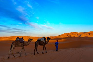 Kuzey Afrika. Fas 'ta. Merzouga 'da. Sahra Çölü 'ndeki kum tepelerinden geçen deve kervanı.