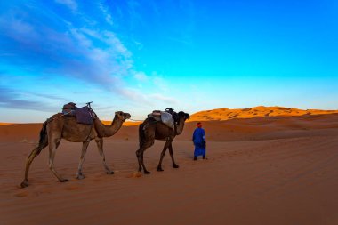 Kuzey Afrika. Fas 'ta. Merzouga 'da. Sahra Çölü 'ndeki kum tepelerinden geçen deve kervanı.