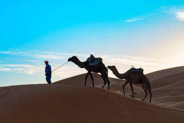 Kuzey Afrika. Fas 'ta. Merzouga 'da. Sahra Çölü 'ndeki kum tepelerinden geçen deve kervanı.